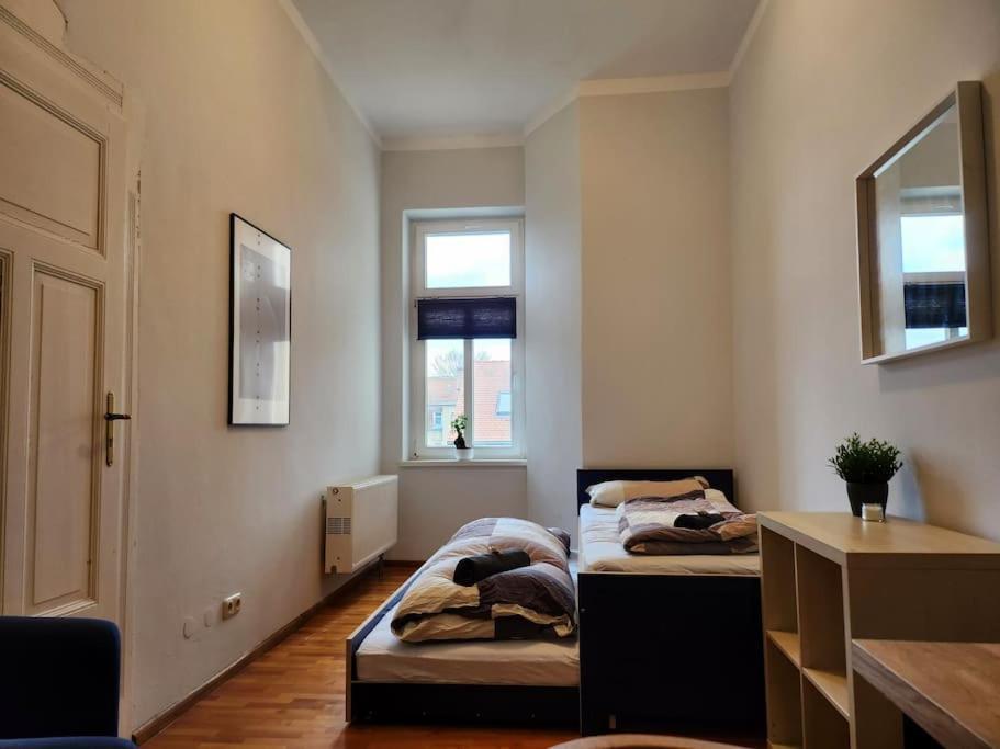 4 Raum Wohnung Mit Balkon Auf 120Sqm In Top Lage Dresden Buitenkant foto